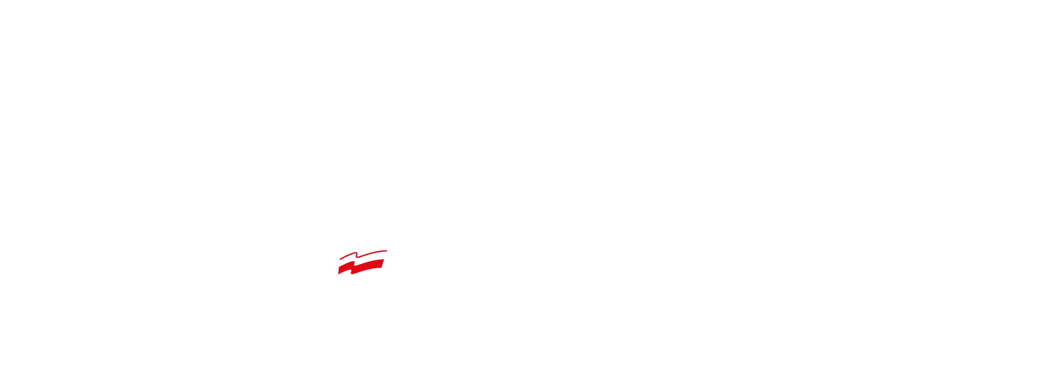 Logo Rządowej Agencji Rezerw Strategicznych